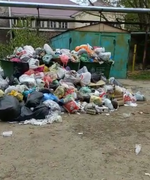 Жители ул. Московской погрязли в антисанитарии из-за бездействия «УК «Зеленая роща»