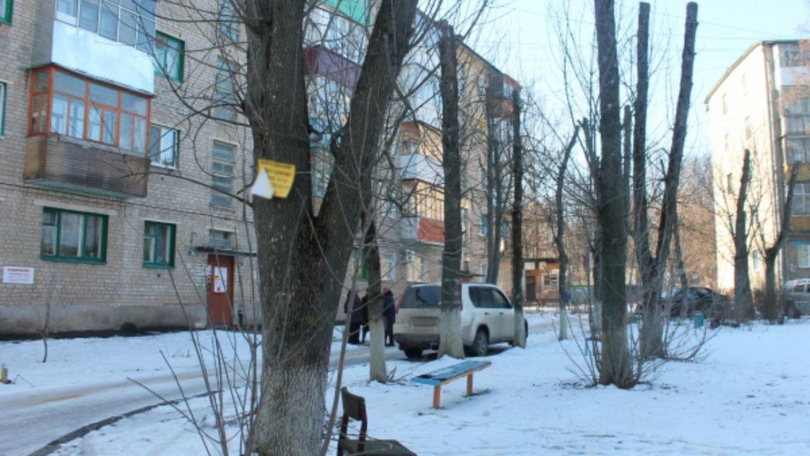 Орловчане просят избавить дворы от гнилых деревьев