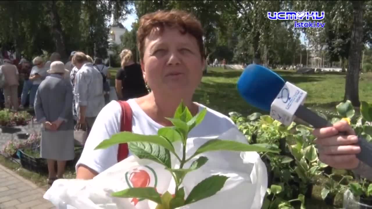 Буйство цветов и красок1723022047