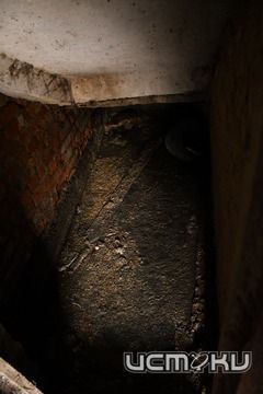 Полгода в фекальных водах 