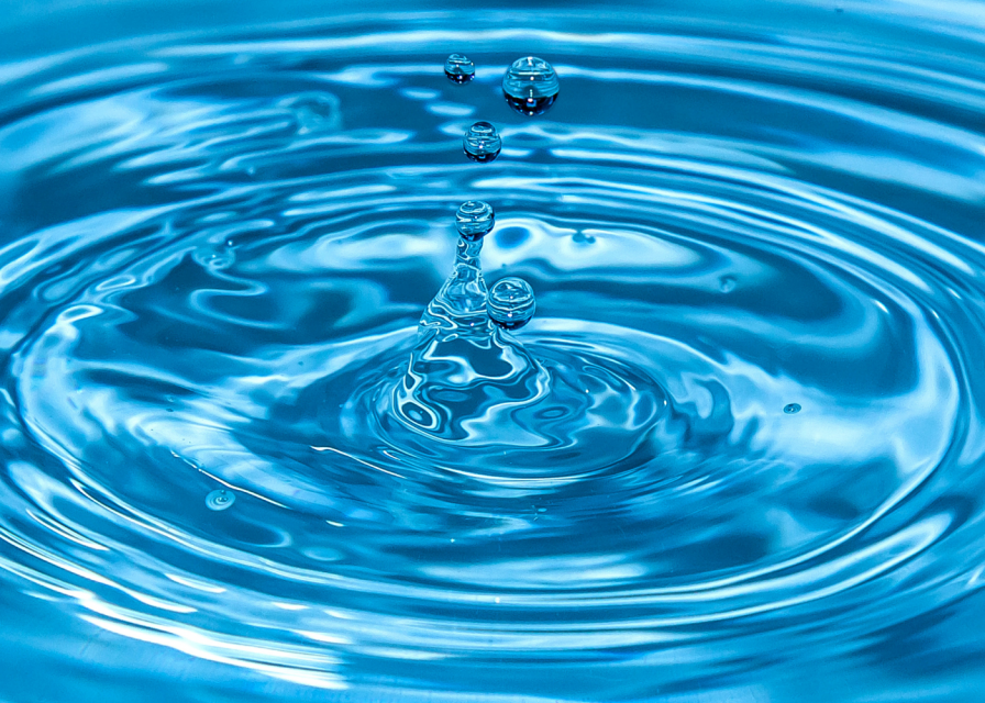 Орловских студентов приглашают поучаствовать во Всероссийском экологическом квесте «Вода.Онлайн»