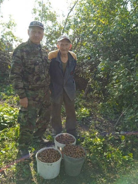 Орловчанам предлагают собирать желуди, чтобы сохранить лес