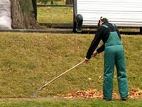  Женщина приговорена к обязательным работам из-за просроченного паспорта