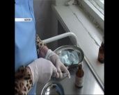 На Орловщине начнут выращивать форель, а Карачевское шоссе засыпало арбузами. Новости за 90 секунд