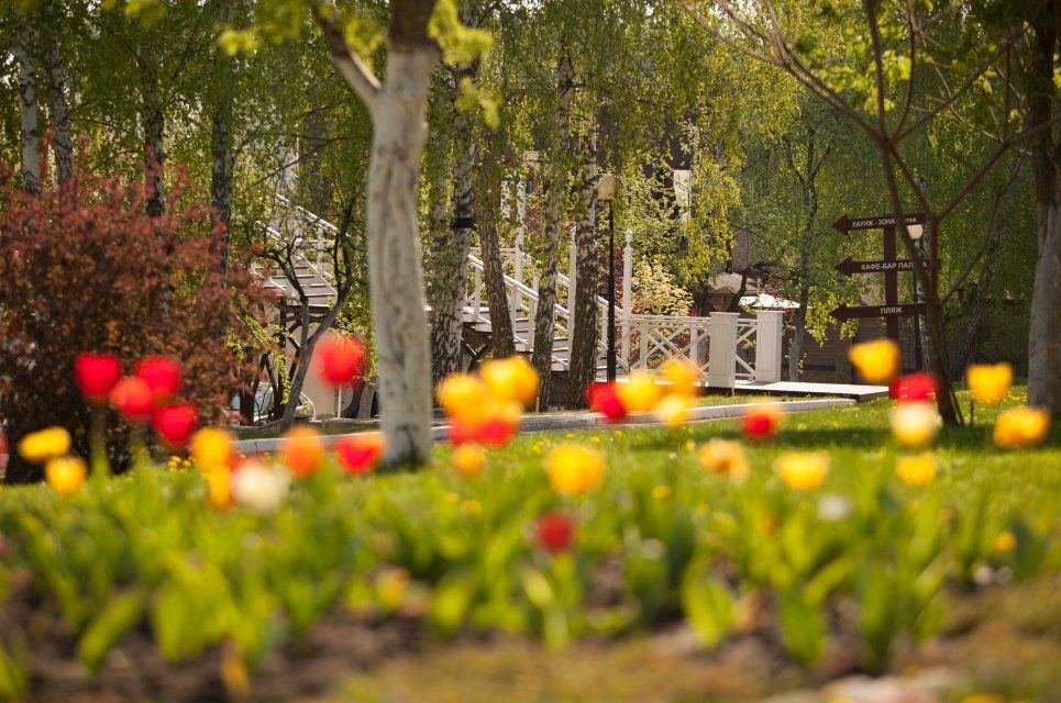 В интернете появилась информация о сливе отработанного масла к парк-отеле «Мечта»