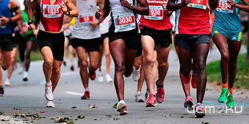 Орловчане стали чемпионами России по кроссу