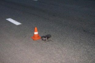 С начала года в Орловской области сбили 174 пешехода