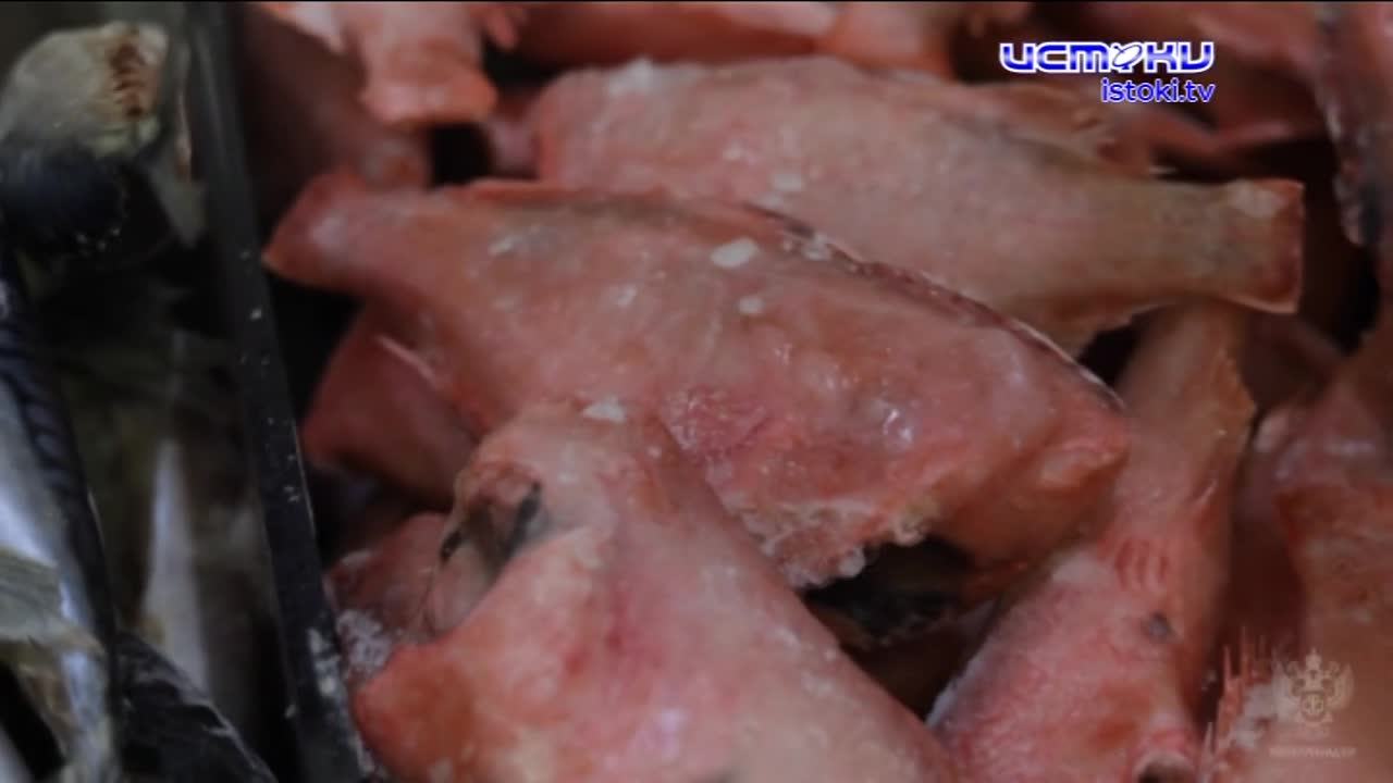 Рыбу нужно есть