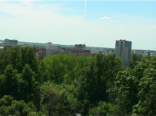 Клещи в Орле заражены боррелиозом, власти закрывают на обработку два городских парка 