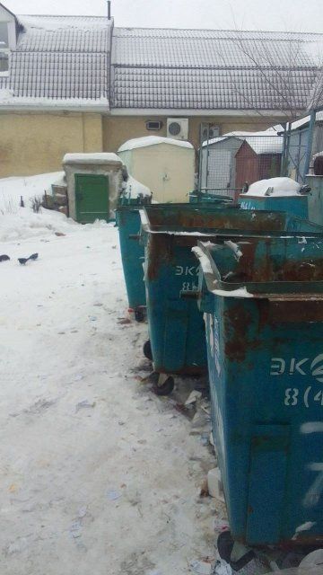 Спустя несколько часов после нашей новости о мусорной проблеме на ул. 4-я Курская, «УК «Зеленая роща» навела порядок на контейнерной площадке