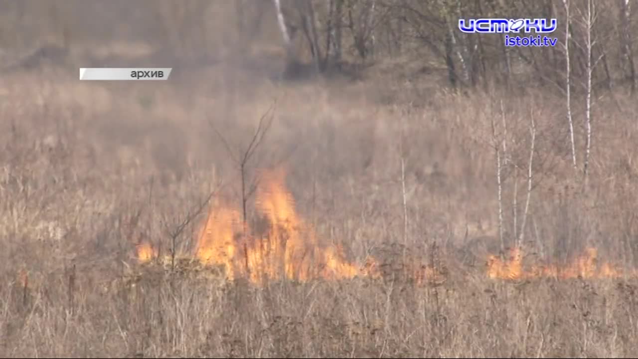Совершают подвиг каждый день. Орловские сотрудники МЧС отметили День пожарной охраны