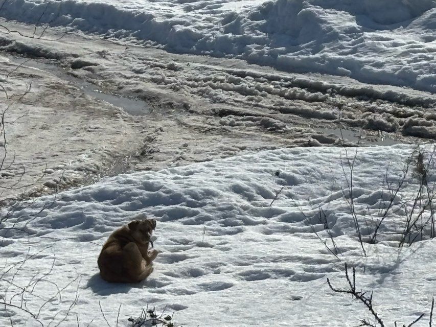 На Орловщину на этой неделе приходит полноценная весна