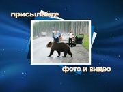 Водители вредители_56_плюс_ВЧ