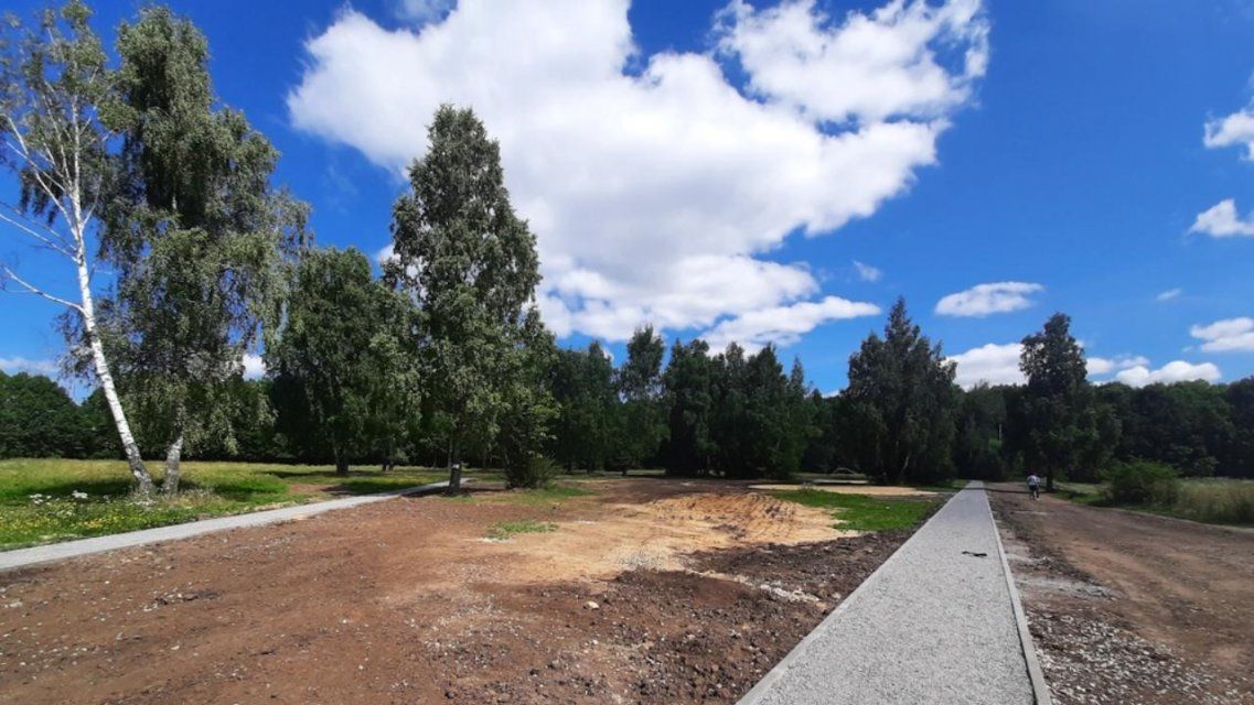 В Орле избавились от медлительного подрядчика, работавшего в Медведевском лесу