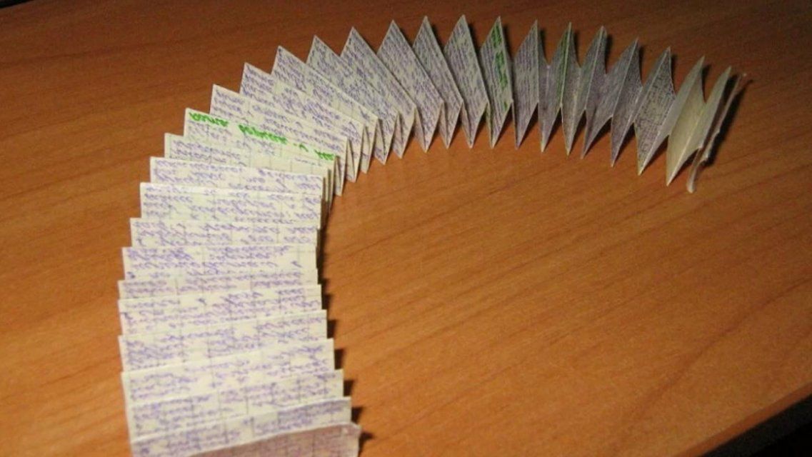 ЕГЭ строгого режима: орловская выпускница пошла под суд за шпаргалку