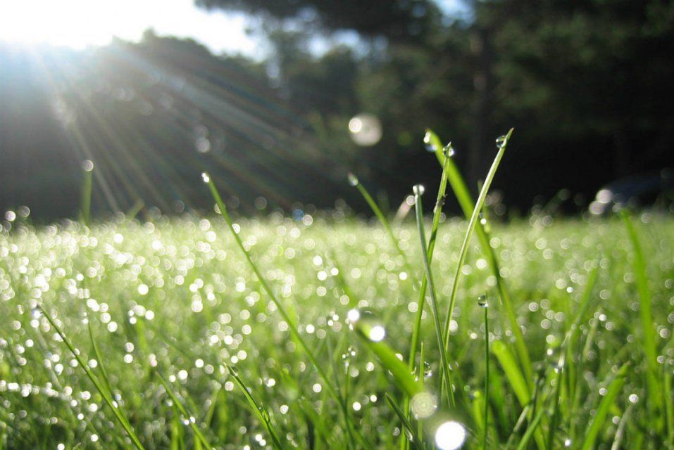 И солнце, и дождь ждут орловчан во вторник 
