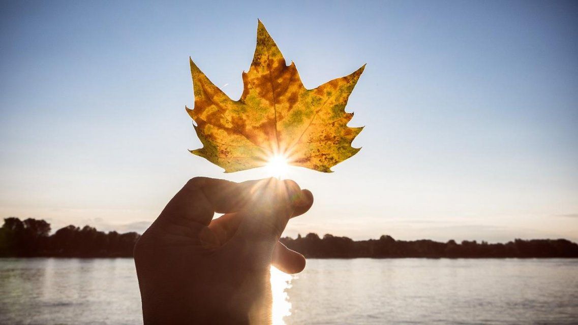 Среда порадует орловчан солнечной и тёплой погодой