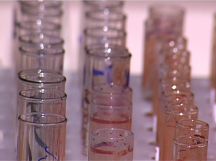 Новости за 90 секунд: на главу Заводского района завели уголовное дело, 114 новых случаев ВИЧ зафиксировано в нашей области в этом году и орловчане снова посоревнуются в мастерстве лепить снеговиков