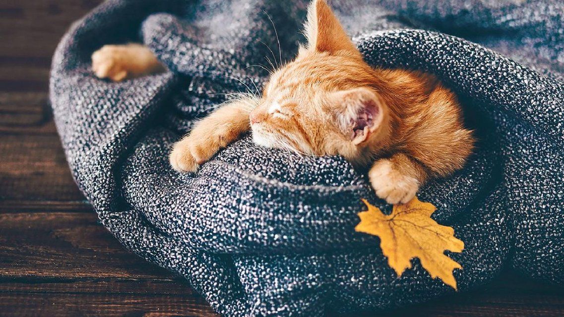 26 ноября в Орле будет холодно и без осадков