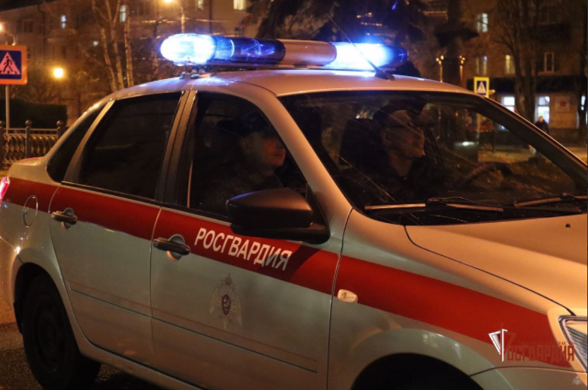 Орловские росгвардейцы за неделю задержали 11 граждан