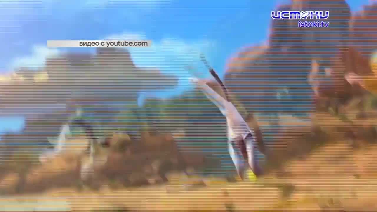 Кинотеатр "Современник" ждет орловчан на захватывающие премьеры