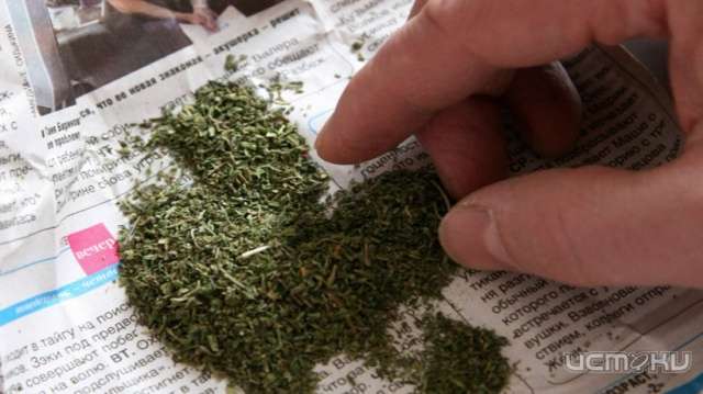 Житель Свердловского района прятал во дворе марихуану 