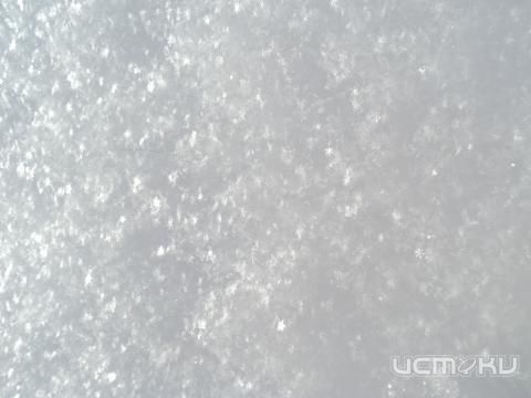 КРИК О ПОМОЩИ