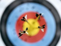 Завершился чемпионата России по стрельбе из лука