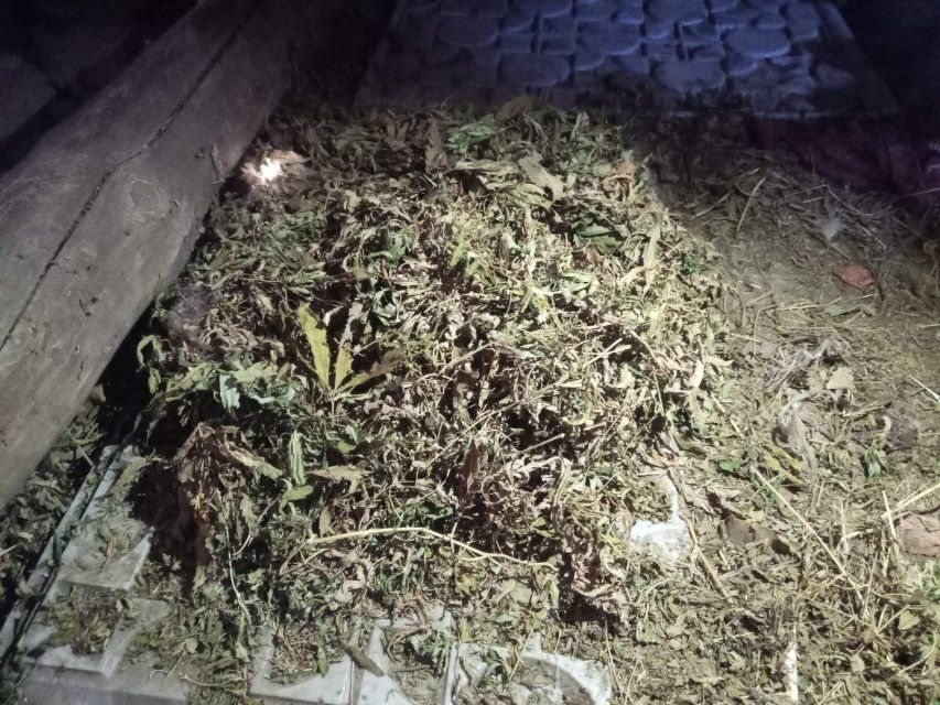 Подносы в доме и свертки в одежде 