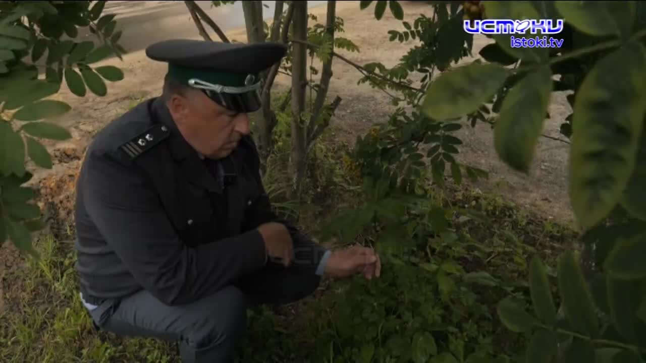 Экспертное мнение 02.07.2025