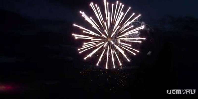 Орловчанам порекомендовали отказаться от фейерверков 