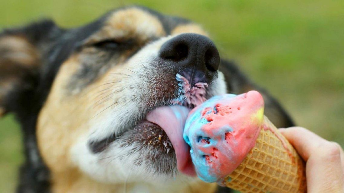 Снова +30 °C: летняя погода задержалась в осеннем Орле