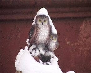 А снег шел, идет и будет идти