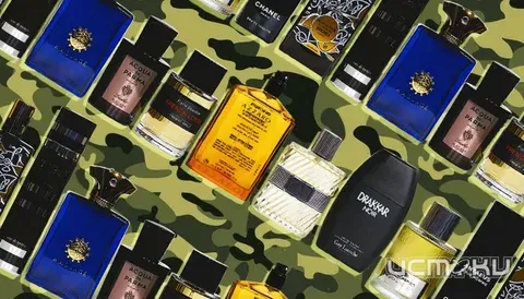 Подарок на 23 февраля: история праздника и современные традиции дарения