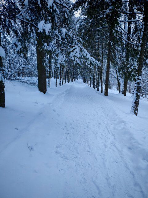 На Орловскую область надвигается циклон «Фрэнсис»
