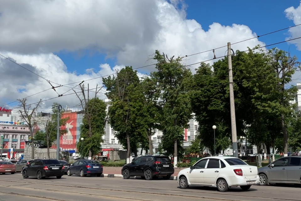 Некоторые деревья в Сквере Танкистов в Орле не выдержали усиленного «кронирования» … и засохли