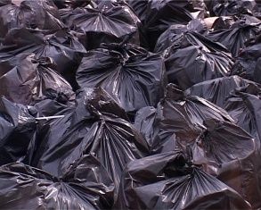 В прошедшую субботу орловчане убирали парк микрорайона Ботаника