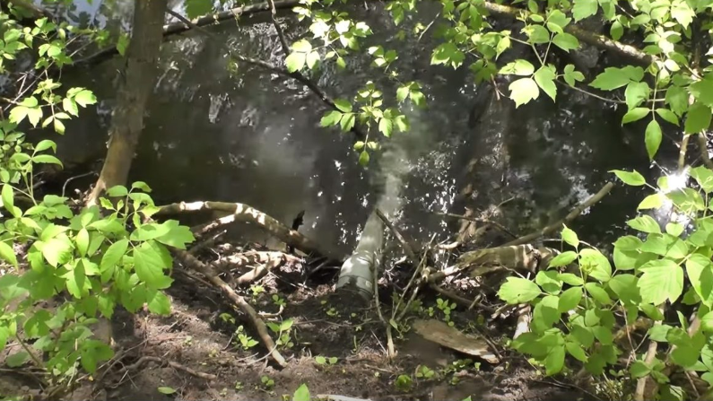 В реку Рыбница в Орловском муниципальном округе сливают нечистоты