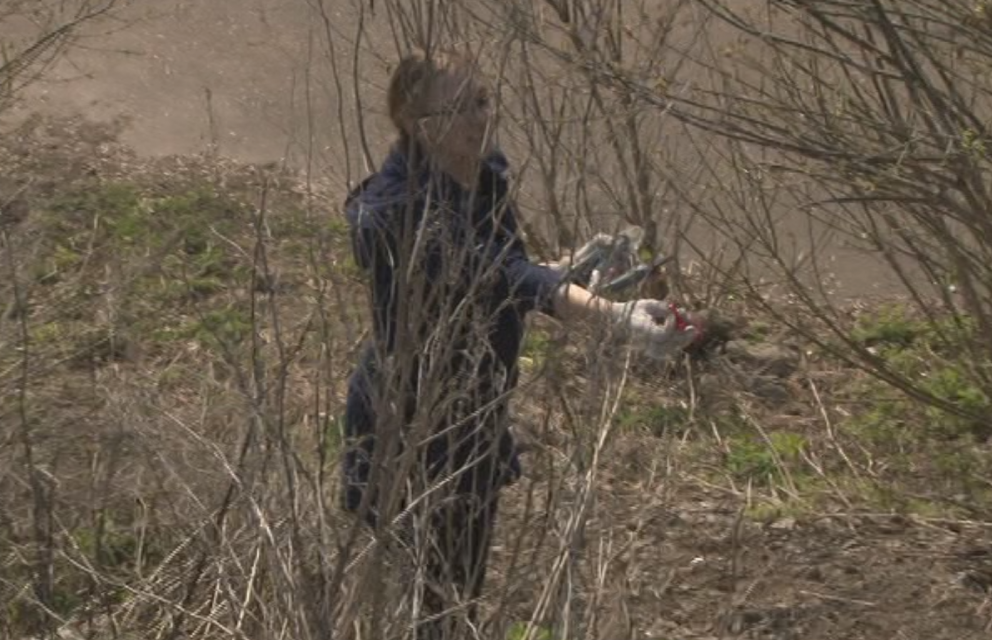 Мужчины уклоняются от субботников чаще женщин. А кто в Орле любит наводить чистоту больше всего?