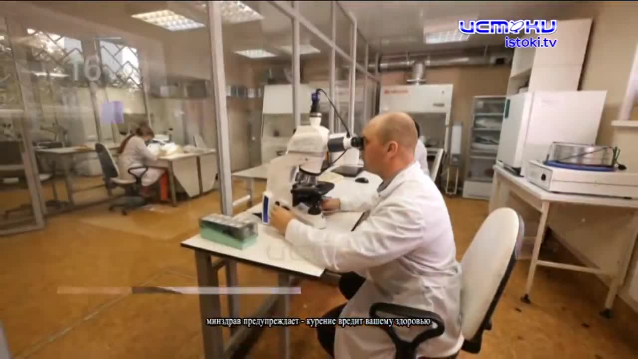 Экспертное мнение 17.01.2024