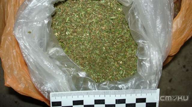 У орловчанина изъяли больше полутора килограммов наркотиков 