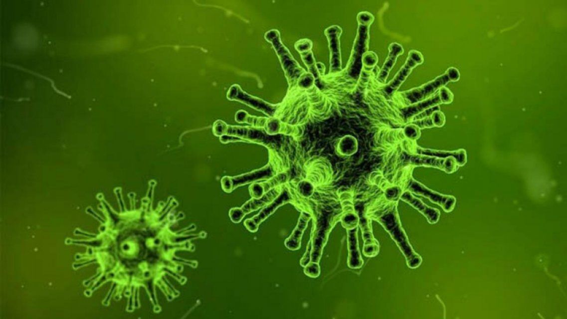 За последние сутки на Орловщине коронавирус выявлен у 175 человек