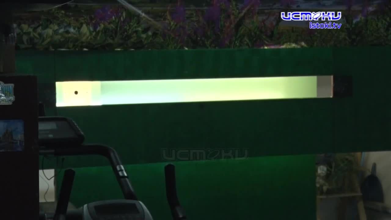 Три орловские спортсменки уверенно идут к кубку России по стрельбе в движущейся мишени!