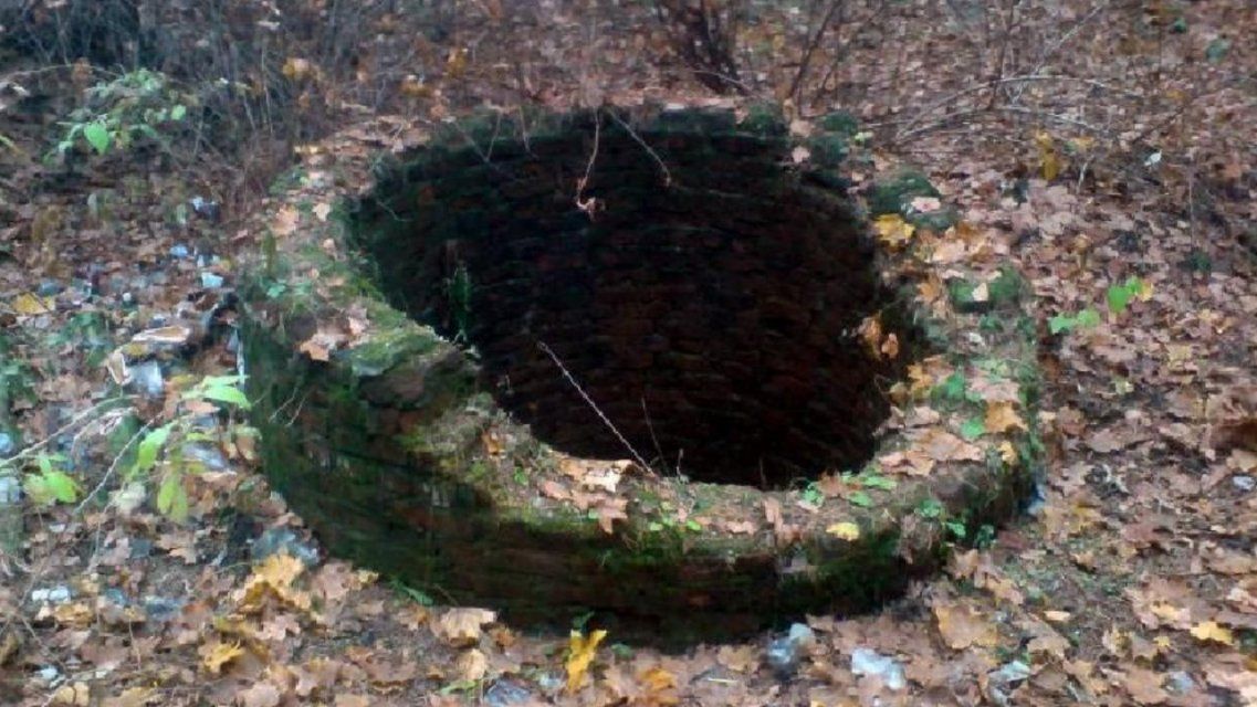 Убив знакомого отверткой, орловчанин расчленил тело и выбросил в колодец