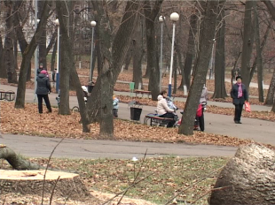 Новости за 90 секунд: в городском парке новый директор, ремонтировать дворы теперь будут по новой схеме, а орловская студентка приняла участие в конкурсе красоты в Токио