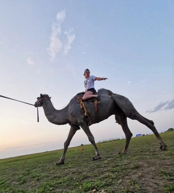 В 15 километрах от Орла открыли верблюдный клуб