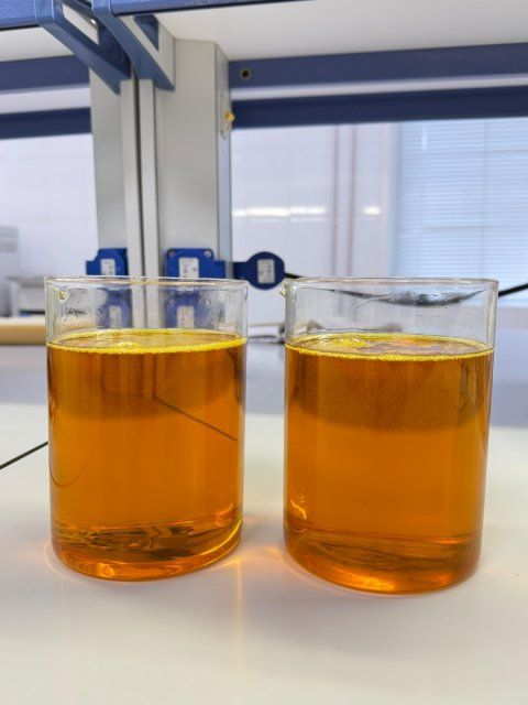 Орловское соевое масло экспортировали в Индию 