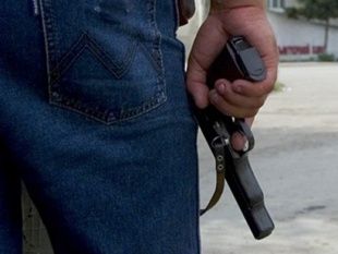 Житель Урицкого района застрелил кошку на глазах у ребенка