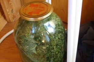 Орловчанин хранил в квартире около килограмма наркотиков