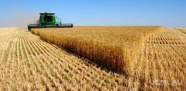 В Орле обсудили актуальные вопросы развития АПК региона 